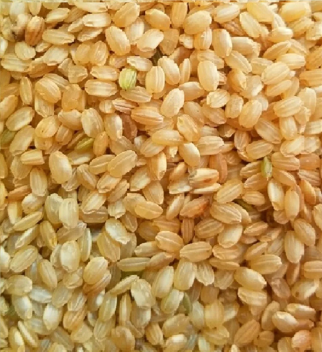 Arroz yamani integral