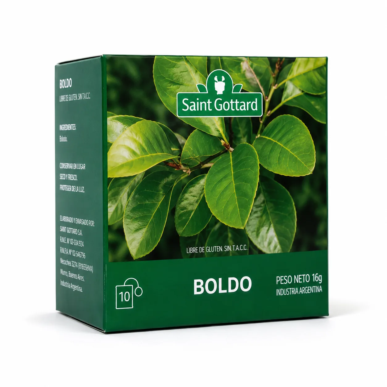 Té de boldo