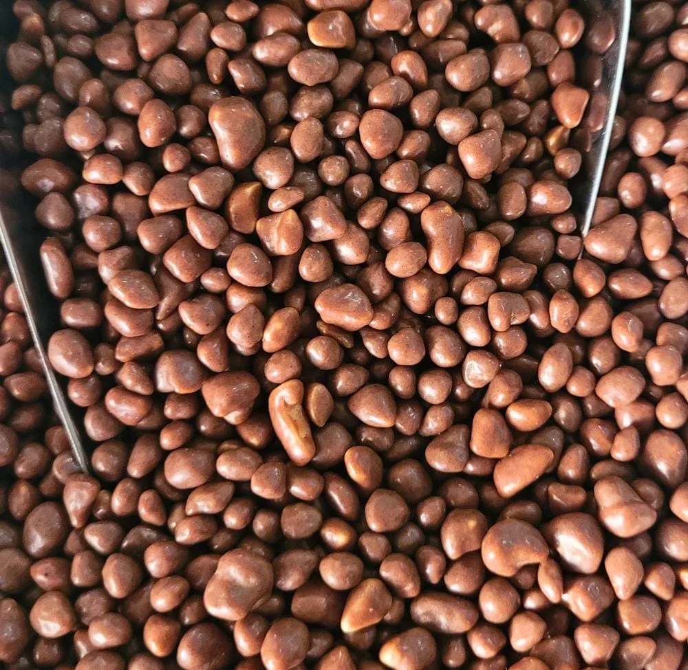 Maní crocante con baño de chocolate (Praliné)