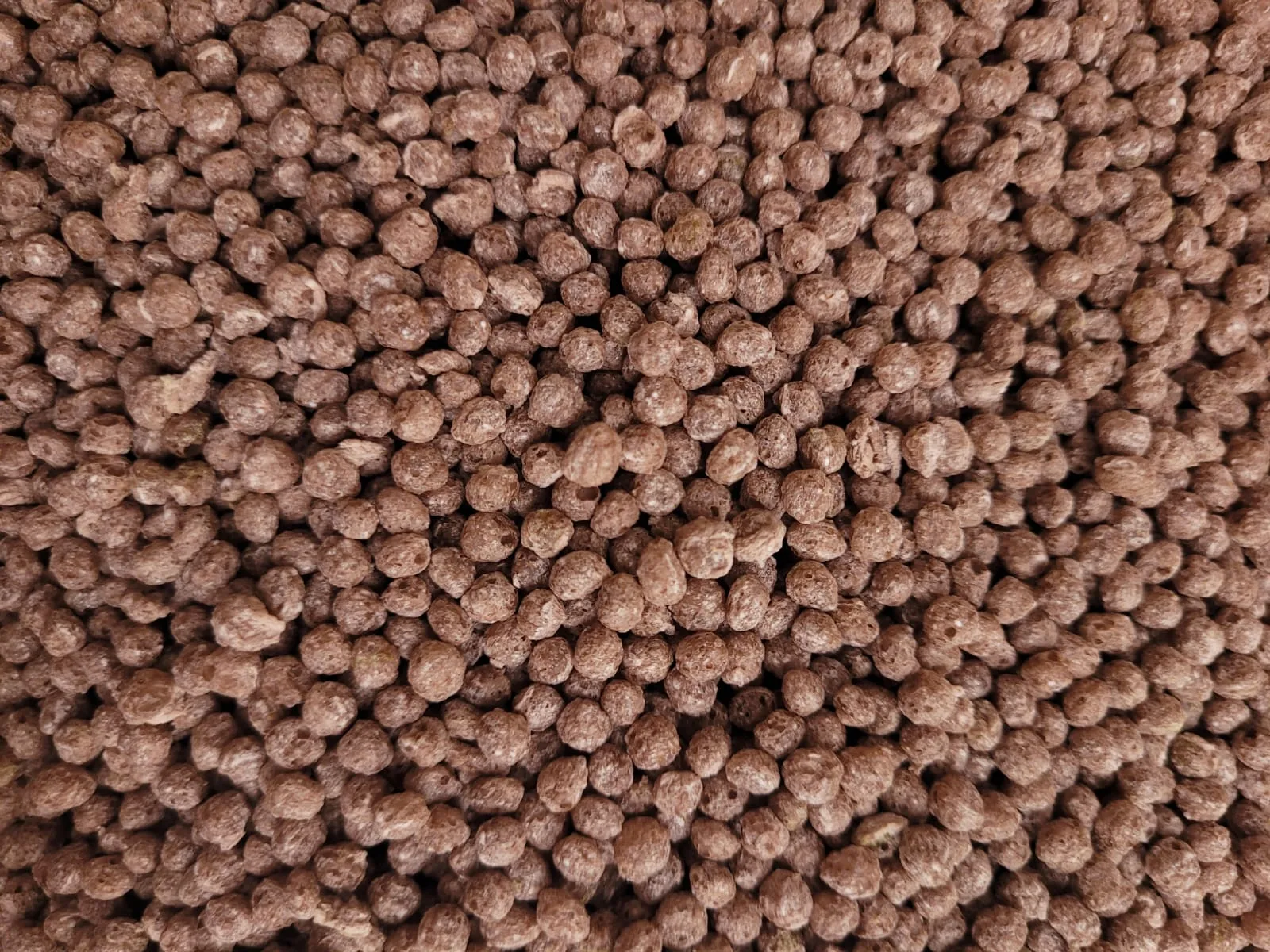 Quinoa inflada con arándanos